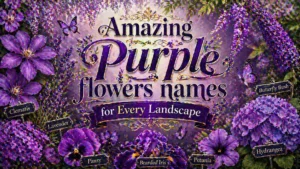 Amazing Purple flowers names for Every Landscape