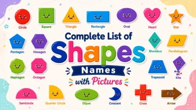 Complete List of Shapes Names with Pictures