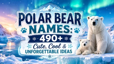 Polar Bear Names 490+ Cute, Cool & Unforgettable Ideas